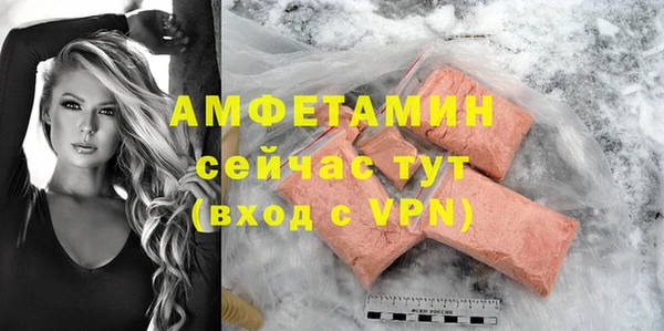 сатива Аркадак