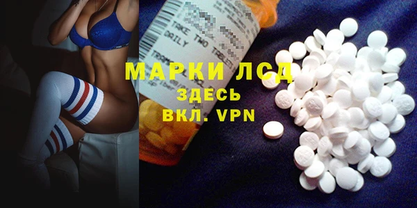 сатива Аркадак