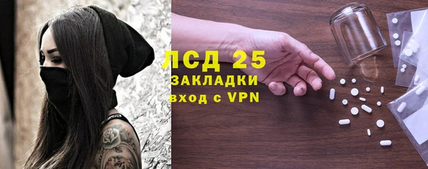 сатива Аркадак
