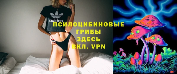 сатива Аркадак