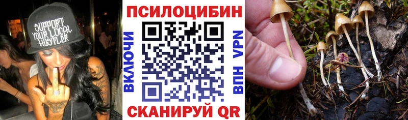 дарк нет состав  Талдом  Галлюциногенные грибы Psilocybe  гидра как зайти 